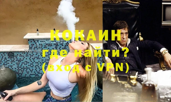 индика Алексеевка