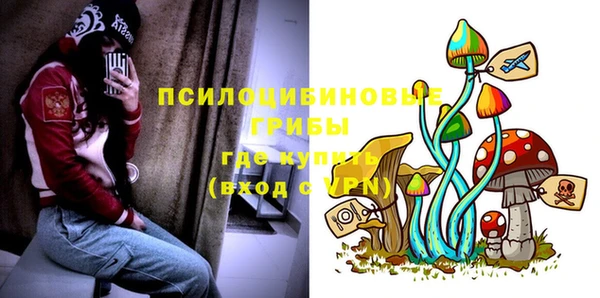 дживик Алексин