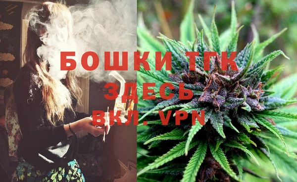 spice Алзамай
