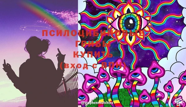 дживик Алексин