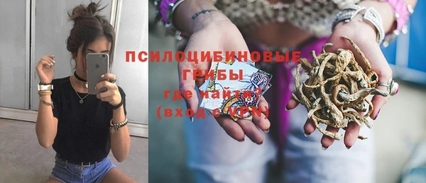 индика Алексеевка